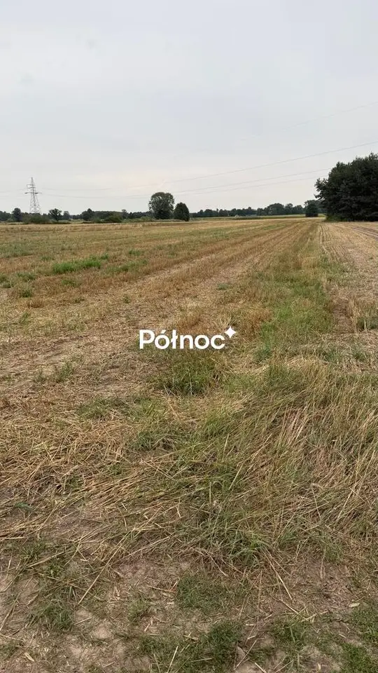 Zdjęcie 3