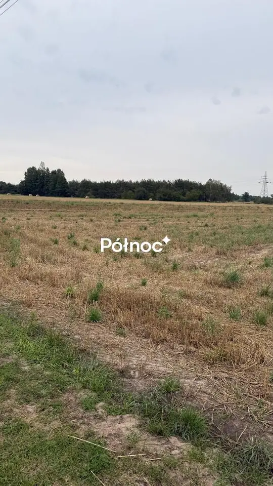 Zdjęcie 4