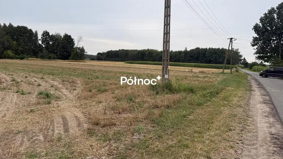 Zdjęcie 5