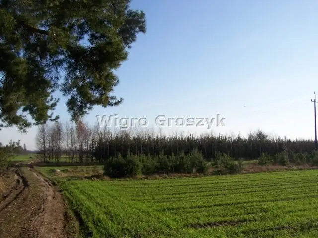 Zdjęcie 15