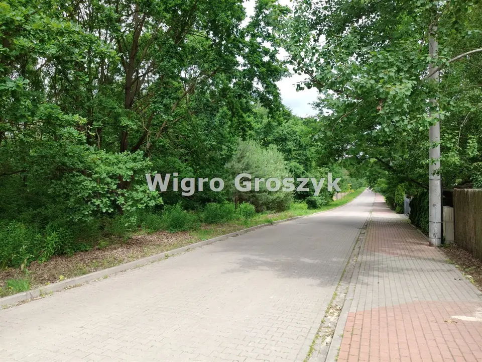 Zdjęcie 3