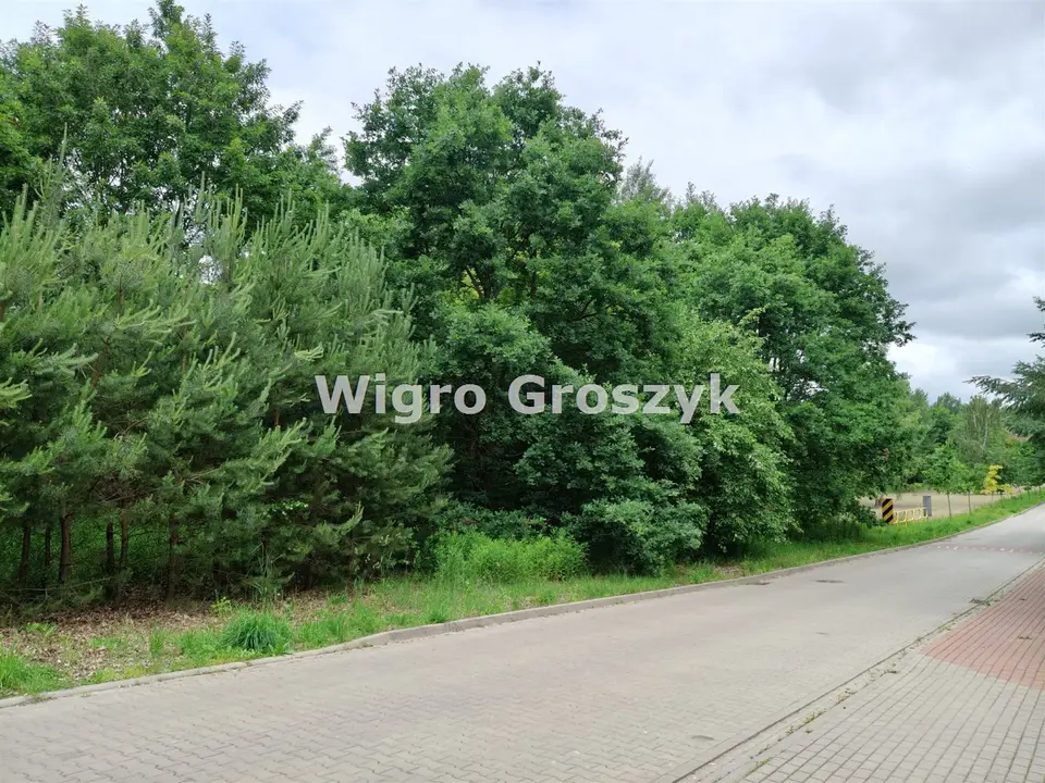 Zdjęcie 4