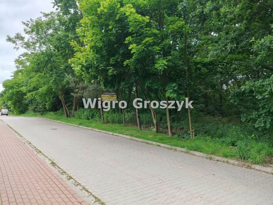 Zdjęcie 6