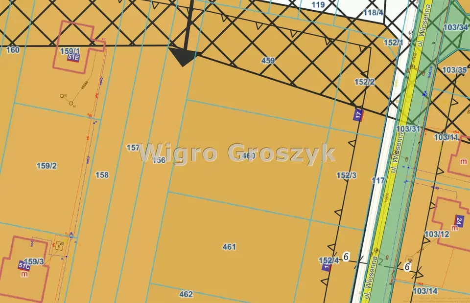 Zdjęcie 10
