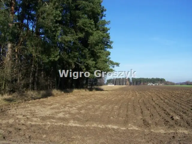 Zdjęcie 18