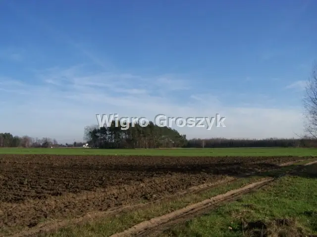 Zdjęcie 19