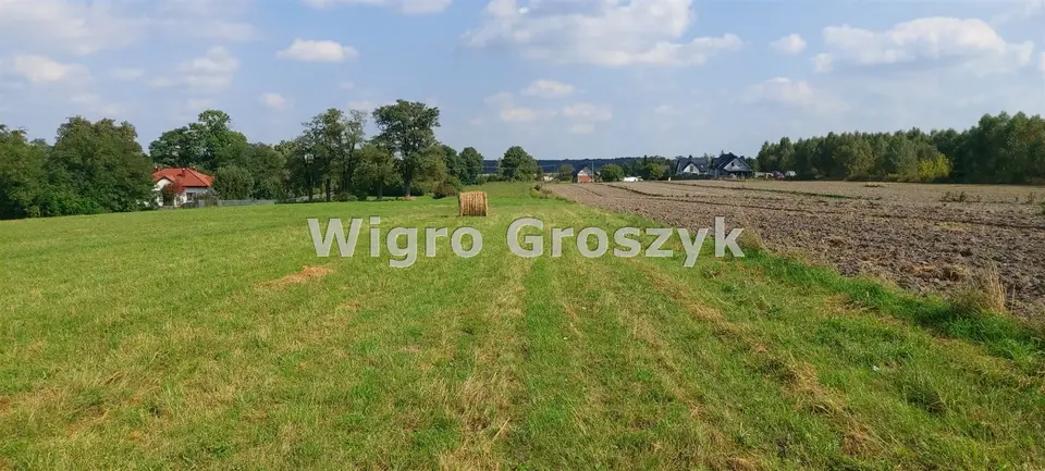 Zdjęcie 2