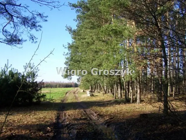Zdjęcie 12