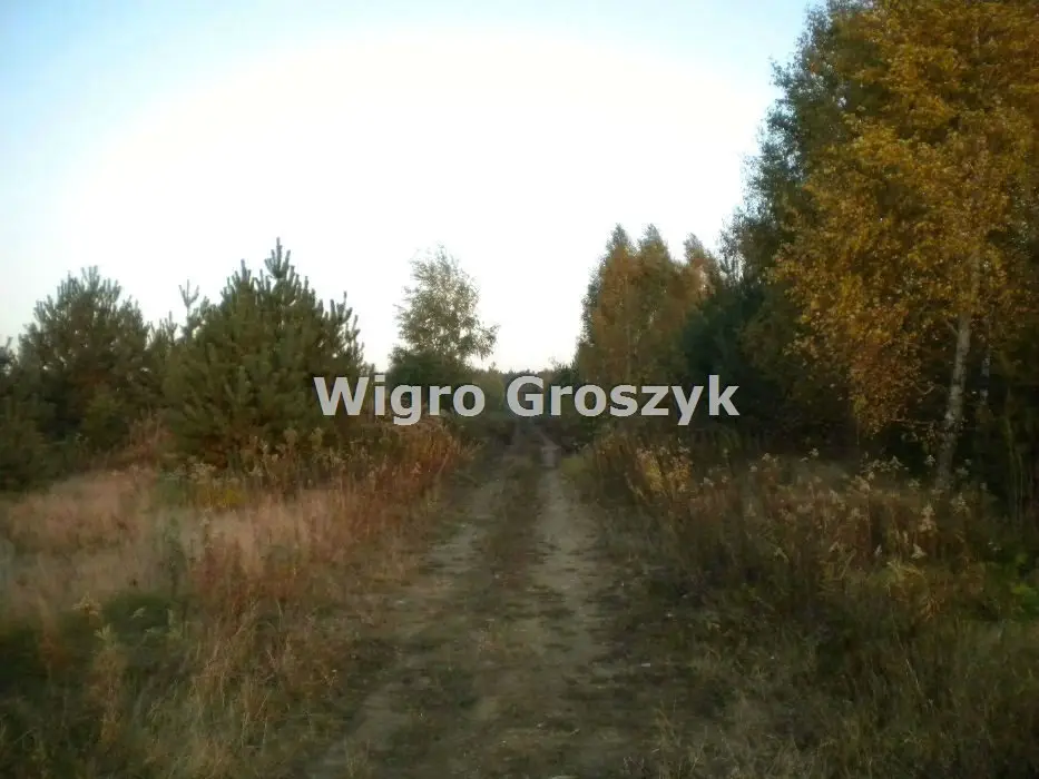 Zdjęcie 2