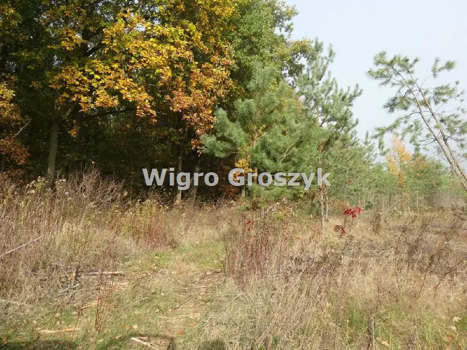 Zdjęcie 5