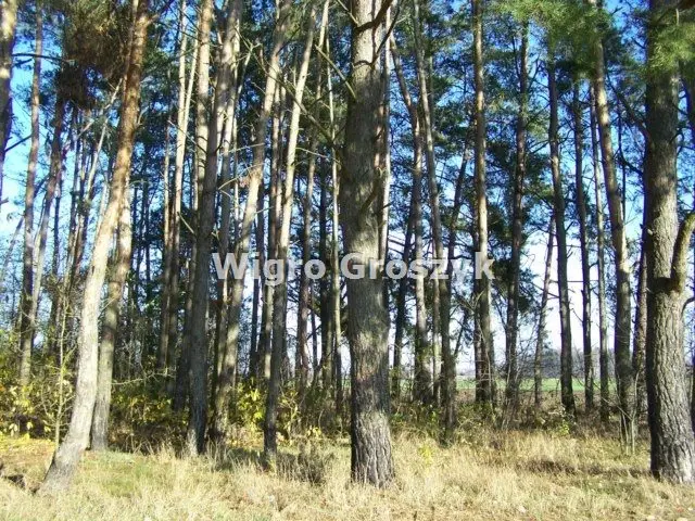 Zdjęcie 16