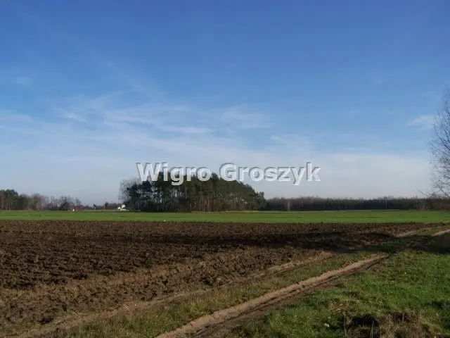 Zdjęcie 19