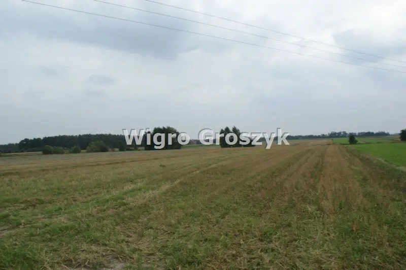 Zdjęcie 3