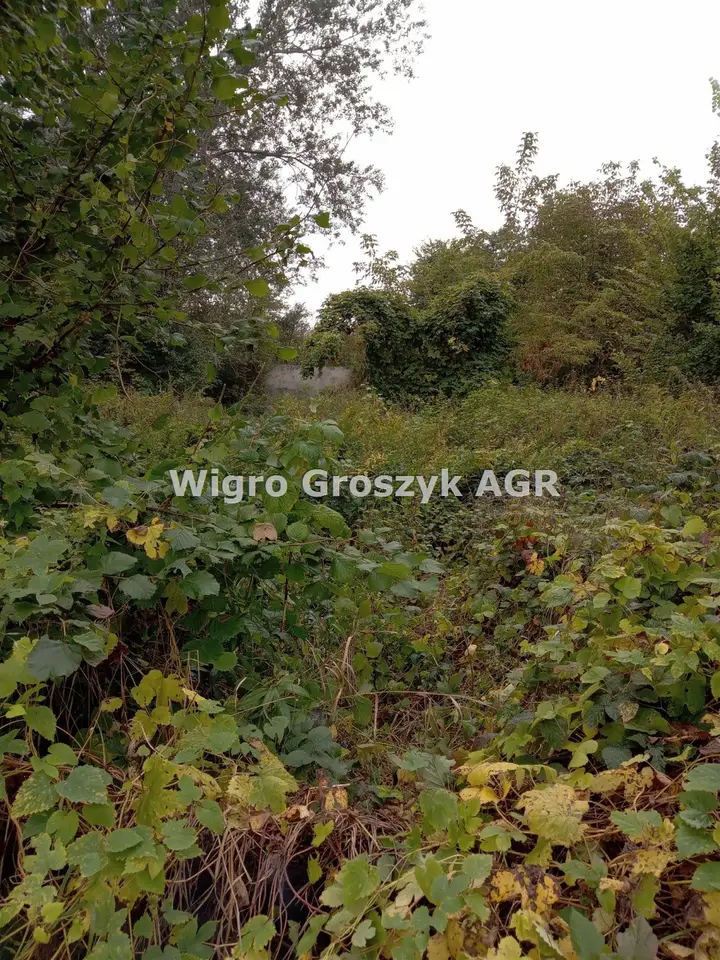 Zdjęcie 3