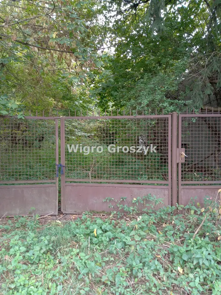 Zdjęcie 3