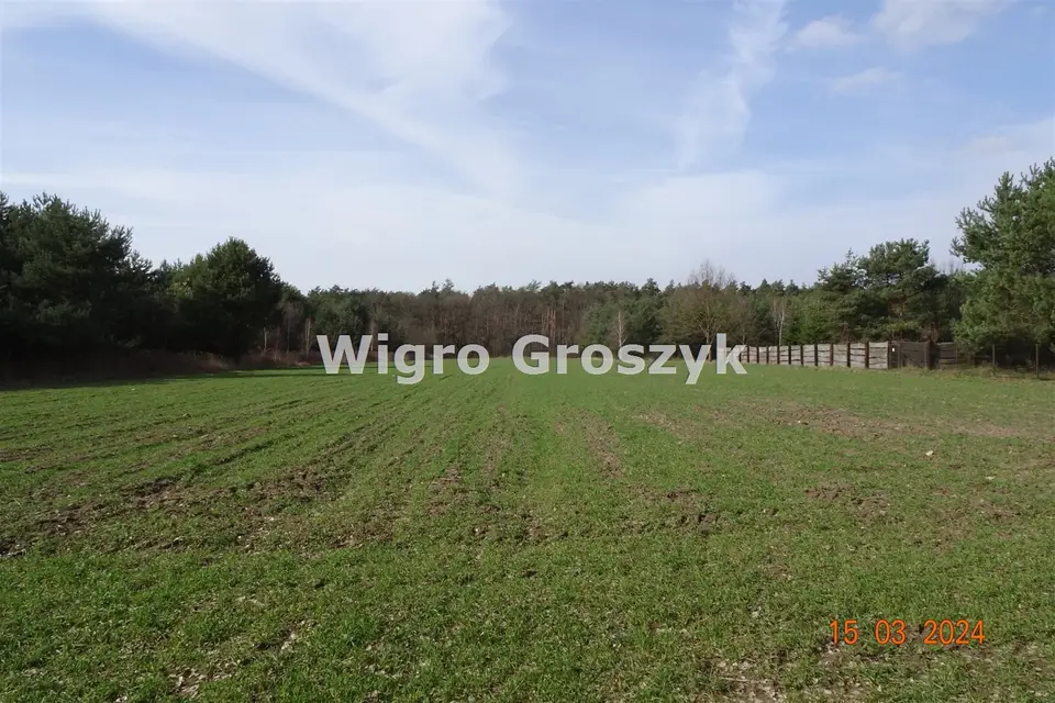 Zdjęcie 2