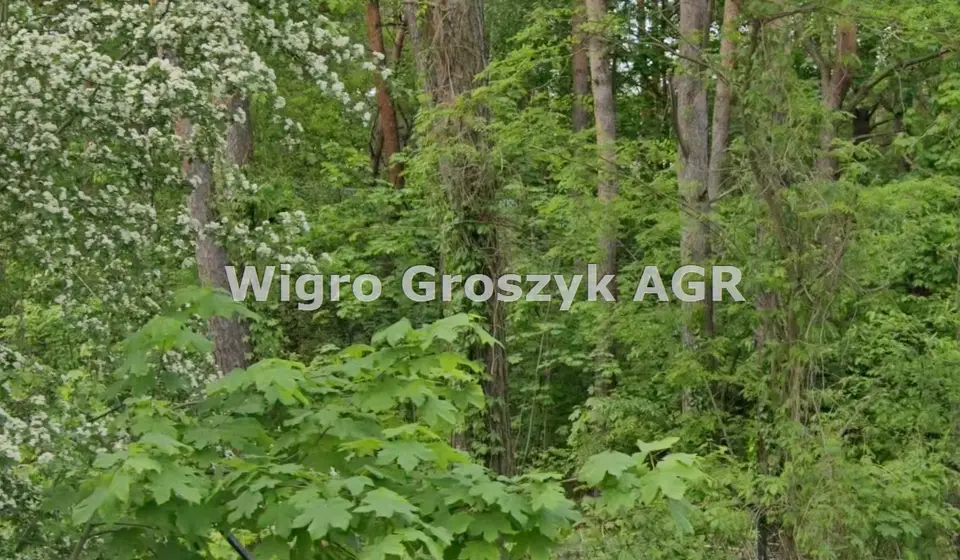 Zdjęcie 5