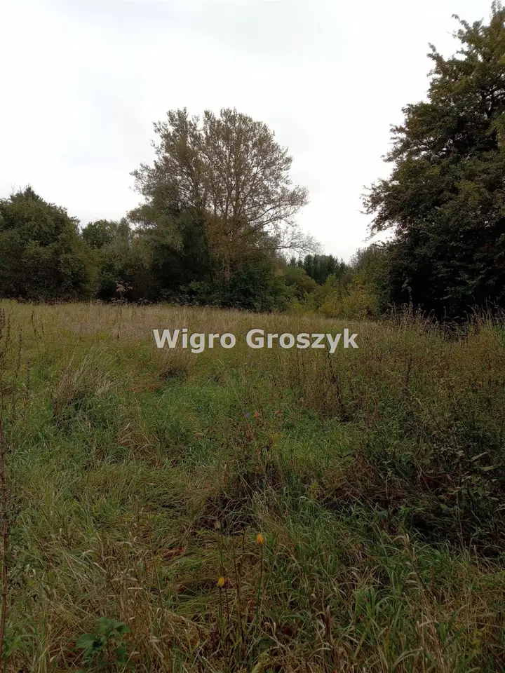 Zdjęcie 2