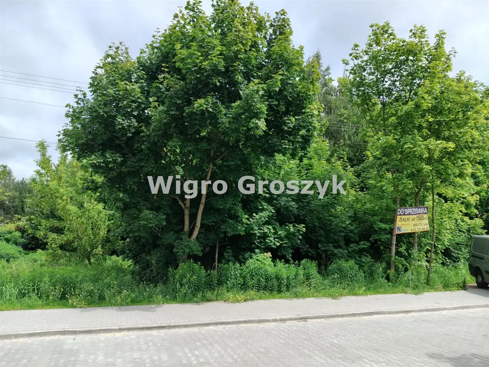 Zdjęcie 5