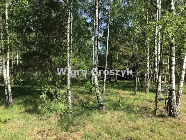 Zdjęcie 2