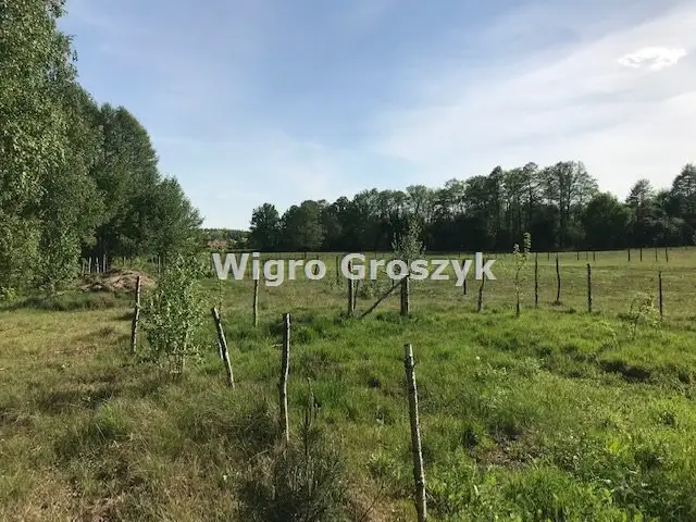 Zdjęcie 3