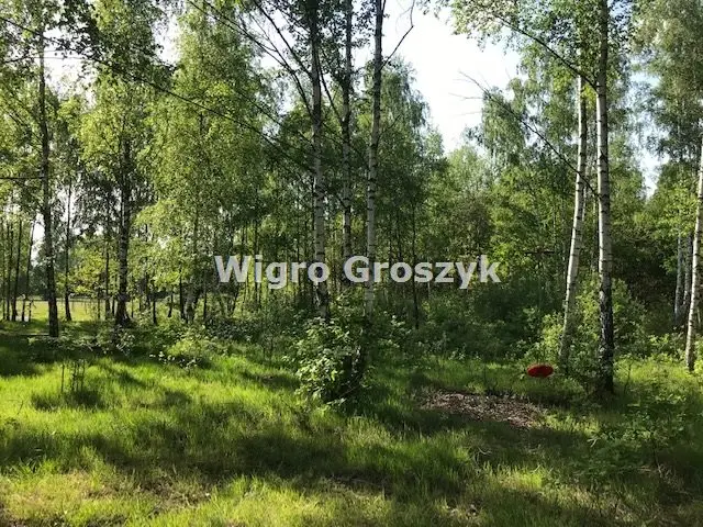 Zdjęcie 6