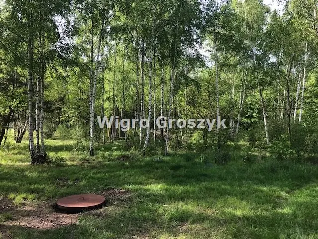 Zdjęcie 7