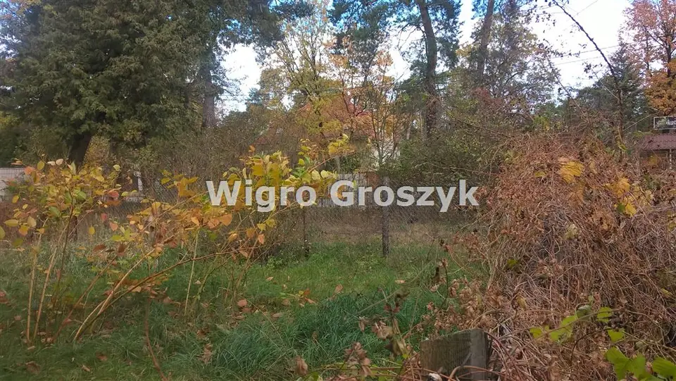 Zdjęcie 3