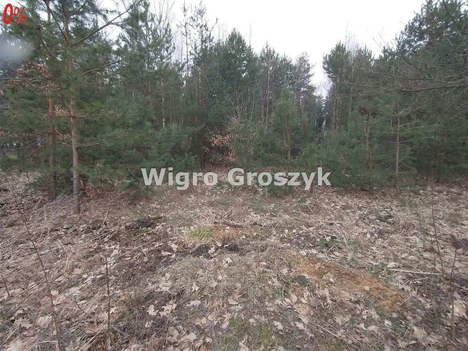 Działka budowlana 2 900 m², Tłumy