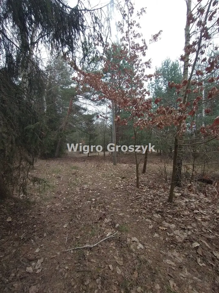 Zdjęcie 2