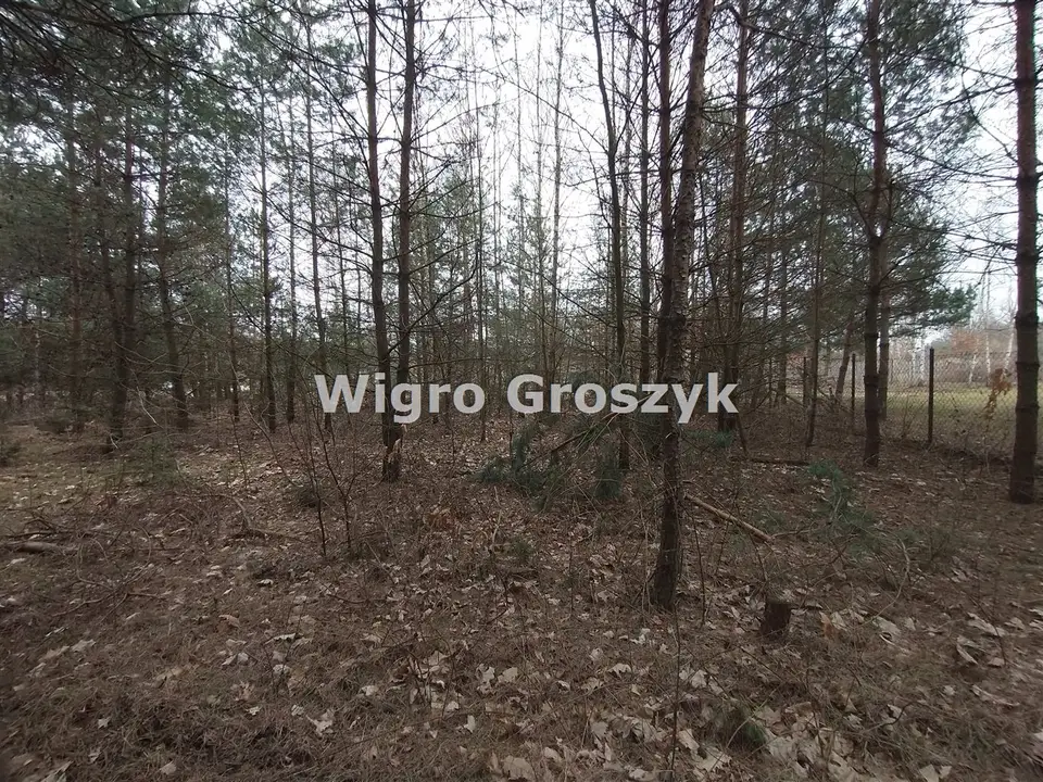 Zdjęcie 3