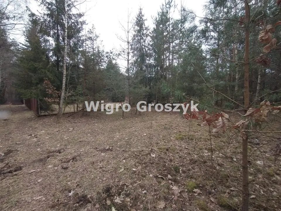 Zdjęcie 4