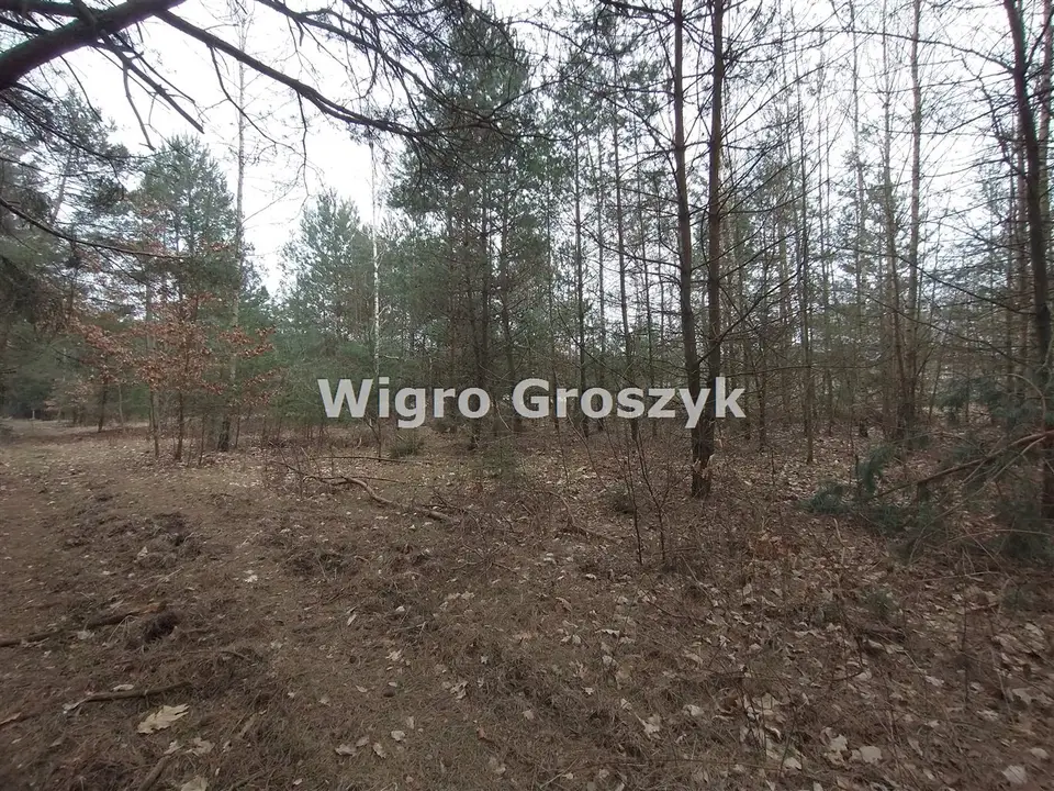 Zdjęcie 5
