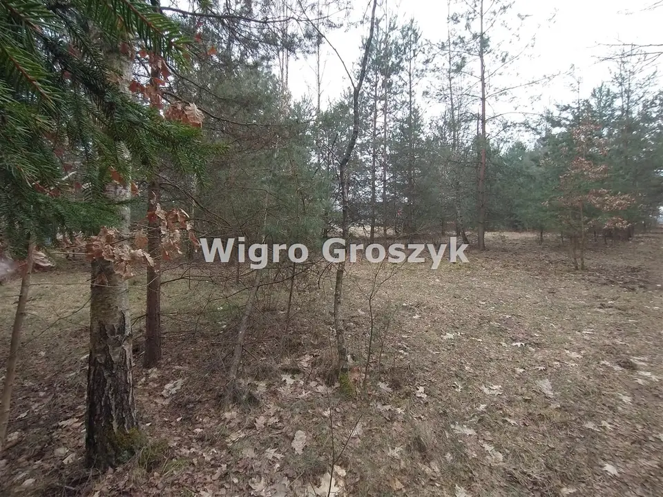 Zdjęcie 6
