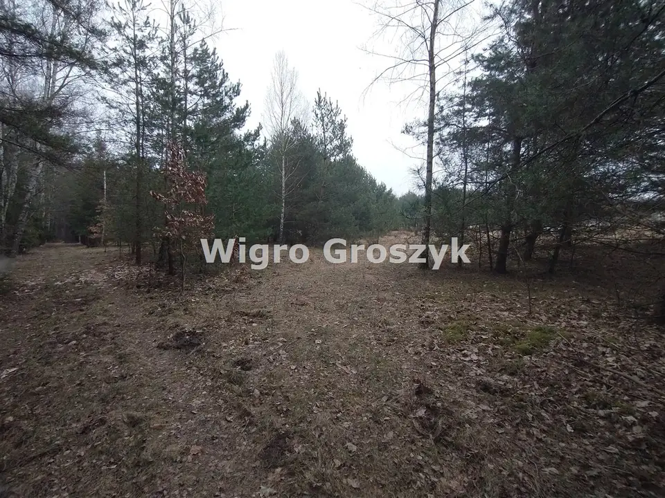 Zdjęcie 7