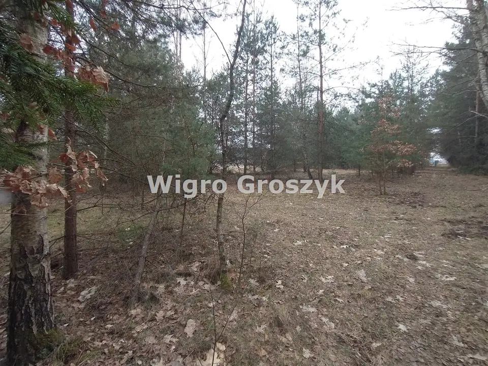Zdjęcie 8