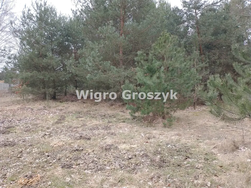 Zdjęcie 9