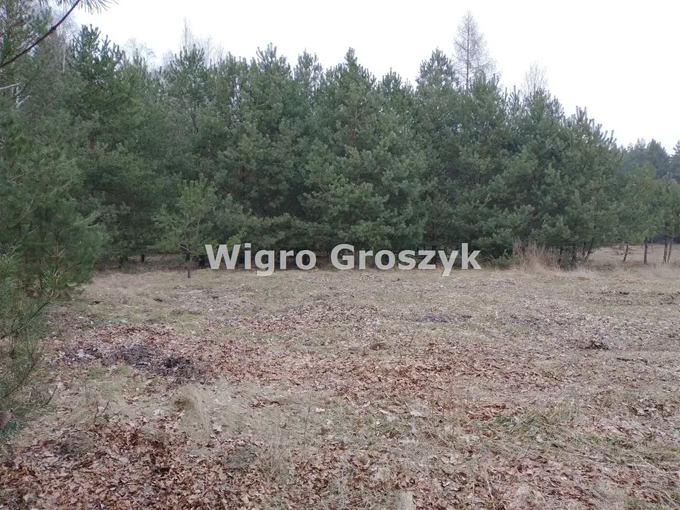 Zdjęcie 10
