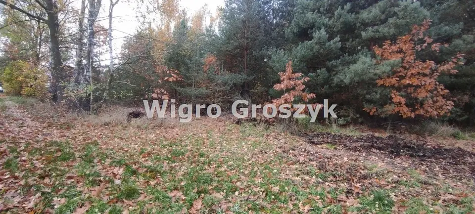 Zdjęcie 11