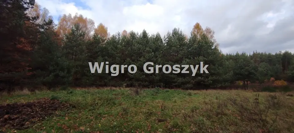 Zdjęcie 12