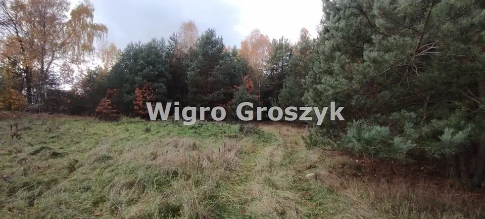 Zdjęcie 13