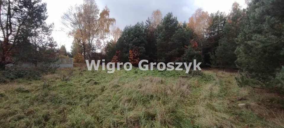 Zdjęcie 14