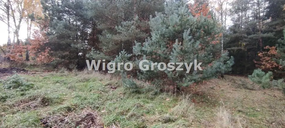 Zdjęcie 15