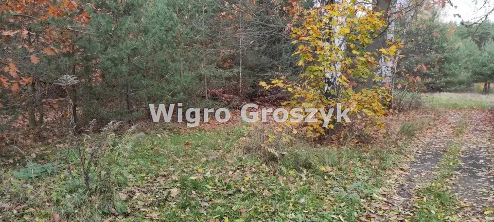 Zdjęcie 17