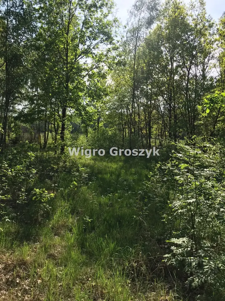 Zdjęcie 3