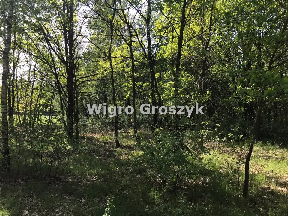 Zdjęcie 4