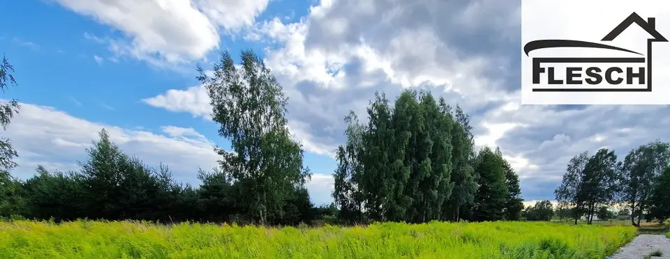Zdjęcie 2