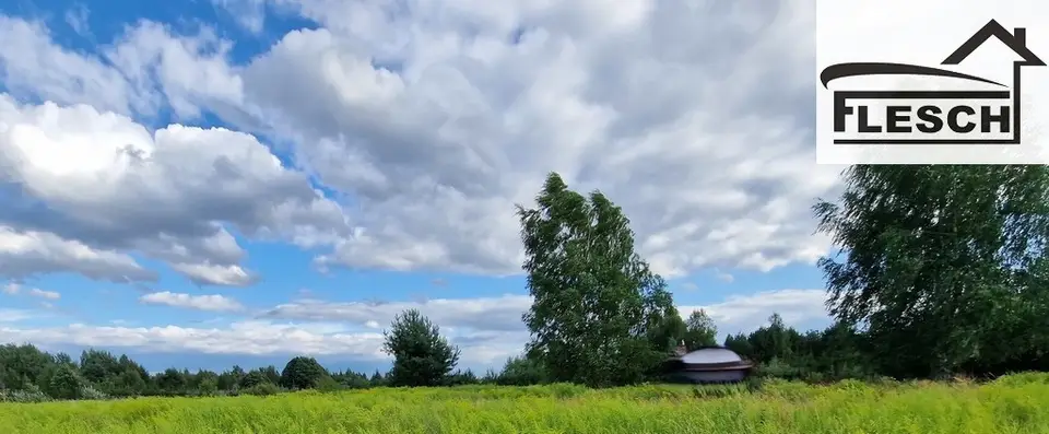 Zdjęcie 3