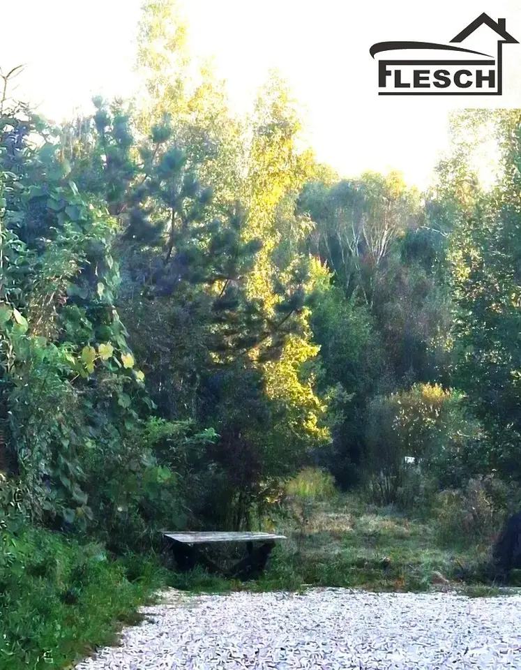 Zdjęcie 2