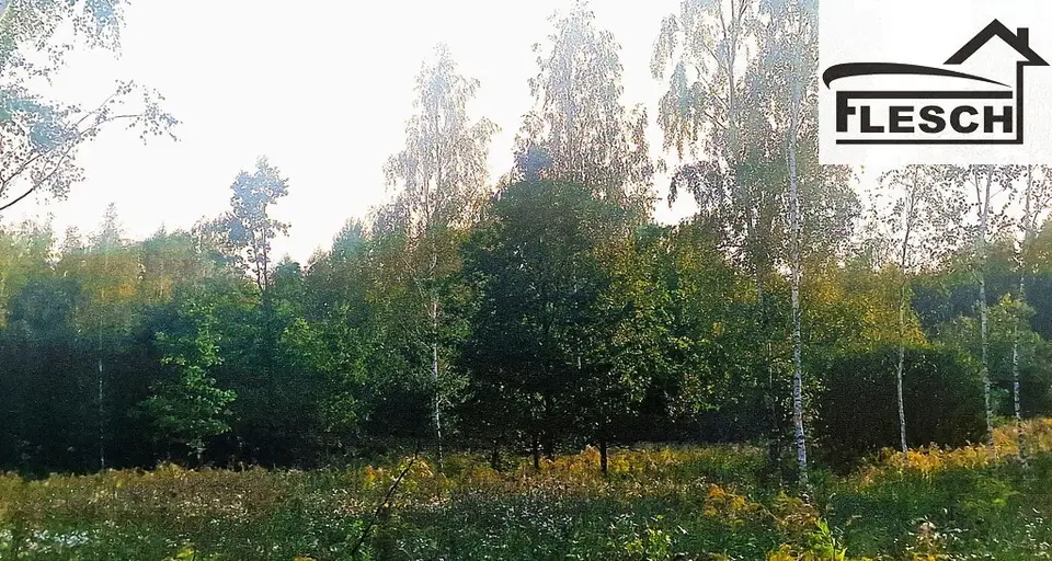 Zdjęcie 3